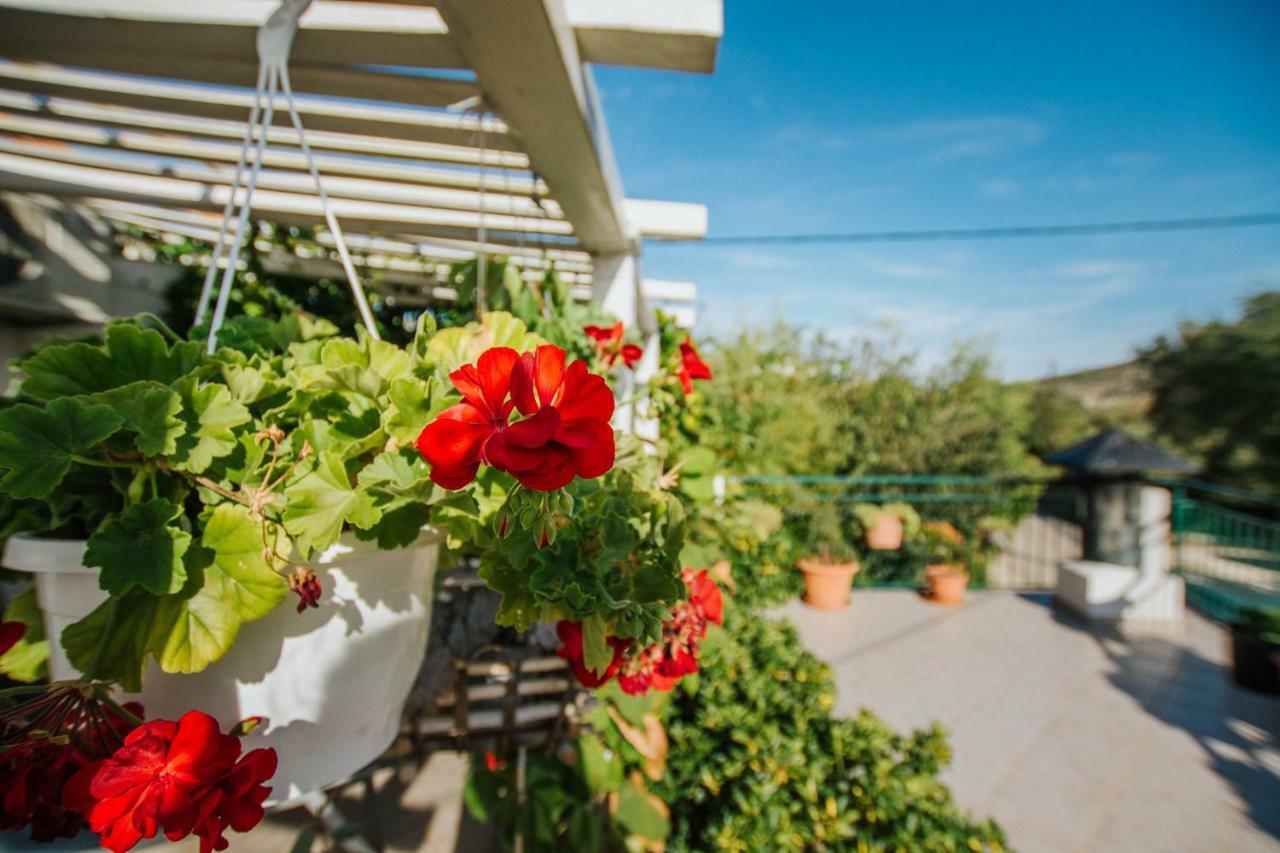 Country House Rusula Vrsine Экстерьер фото